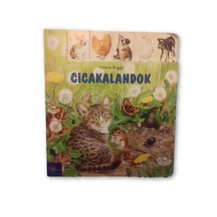 Cicakalandok - keménylapos mesekönyv