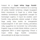 HEM Füstölő - Copal White Sage - Fehér zsálya - ÚJ