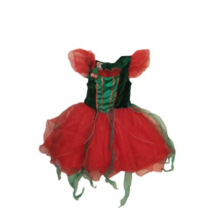 110-es karácsonyi jelmezruha - Ladybird