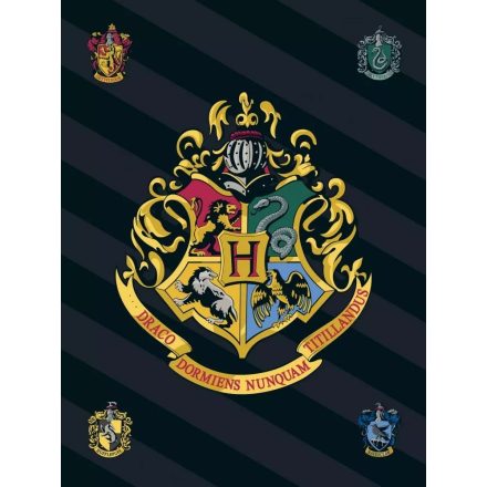Fekete polár pléd, takaró, 100x140 cm - Harry Potter - ÚJ