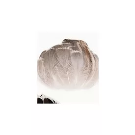   Kb 20 db szürke színű madártoll, dekoráció vagy jelmezkiegészítő - ÚJ