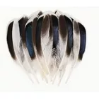 Kb 25 db sötétbarna madártoll, dekoráció vagy jelmezkiegészítő - ÚJ