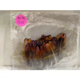   Kb 17 db barna-fekete picike madártoll, dekoráció vagy jelmezkiegészítő - ÚJ