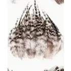 Kb 15 db csíkos madártoll, dekoráció vagy jelmezkiegészítő - ÚJ