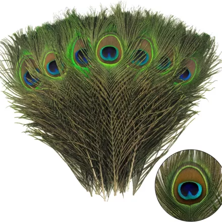 10 db, kb 30 cm hosszú pávatoll, dekoráció vagy jelmezkiegészítő - ÚJ