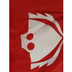 7-8 évesre piros bagoly jelmez szárnnyal (M) - Pizsihősök - PJ Masks - ÚJ