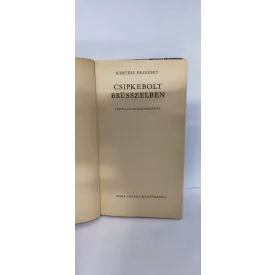   Kertész Erzsébet: Csipkebolt Brüsszelben - Csíkos könyvek 