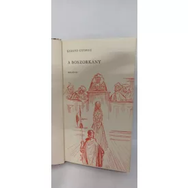 Szántó György: A boszorkány - Csíkos könyvek 