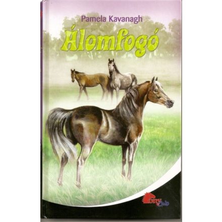 Pamela Kavanagh: Álomfogó