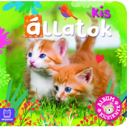 Album kicsiknek - Kis állatok - ÚJ