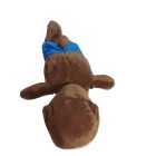 30 cm-es barna cápa plüss figura - Stumble Guys - ÚJ