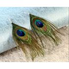 Nagyméretű pávamintás, pávatoll fülbevaló (kb 17 cm hosszú) - ÚJ